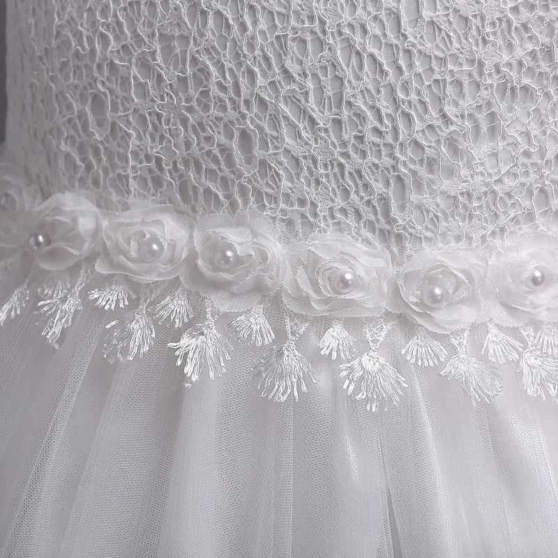 Embroidery Baby Girls Sequin Tutu Dress Toddler Kids Birthday Party Princess Ball Gown Luxury Dress Baby Girls Baptism Costumes