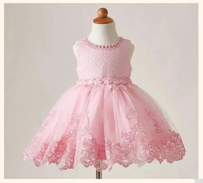 Embroidery Baby Girls Sequin Tutu Dress Toddler Kids Birthday Party Princess Ball Gown Luxury Dress Baby Girls Baptism Costumes