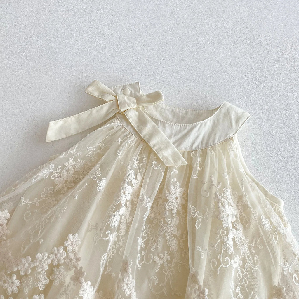 Baby Girl Clothes Cotton Lace Embroidery Bow Romper Dress 0-2Y Baby Girl Birthday Photo Outfit Sleeveless Princess Bodysuit